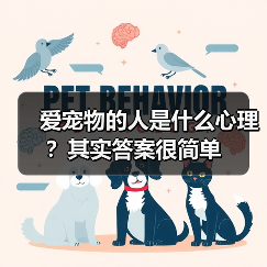 爱宠物的人是什么心理?其实答案很简单(图2) 爱宠物的人是什么心理?其实答案很简单(图2)