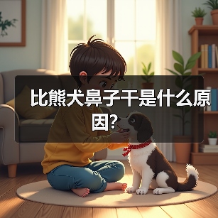 比熊犬鼻子干是什么原因？（图4）