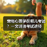 宠物心理学在哪儿考试?一文讲清考试途径(图4) 宠物心理学在哪儿考试?一文讲清考试途径(图4)