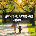 猫咪口鼻分泌物多是什么原因？（图2）