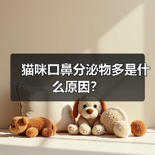 猫咪口鼻分泌物多是什么原因？（图3）
