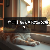 广西土猎犬打架怎么样？（图4）