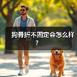 狗骨折不固定会怎么样？（图2）