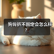 狗骨折不固定会怎么样？（图4）
