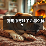 狗狗中毒吐了会怎么样？（图4）