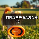 狗恶露不干净会怎么样？（图3）
