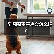 狗恶露不干净会怎么样？（图4）