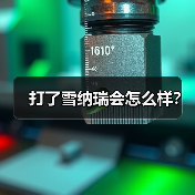 打了雪纳瑞会怎么样？（图1）