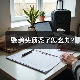 鹦鹉头顶秃了怎么办？（图1）