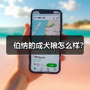 伯纳的成犬粮怎么样？（图1）