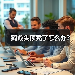 鹦鹉头顶秃了怎么办？