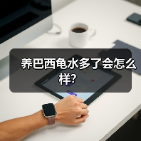 养巴西龟水多了会怎么样？（图2）