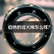伯纳的成犬粮怎么样？（图4）