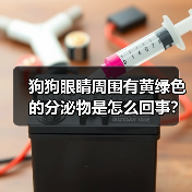 狗狗眼睛周围有黄绿色的分泌物是怎么回事？（图2）