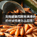 狗狗眼睛周围有黄绿色的分泌物是怎么回事？