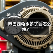 养巴西龟水多了会怎么样？（图4）