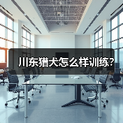 川东猎犬怎么样训练？
