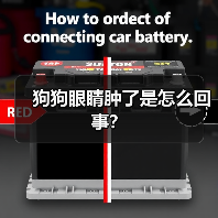 狗狗眼睛肿了是怎么回事？（图3）