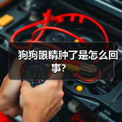 狗狗眼睛肿了是怎么回事？（图4）