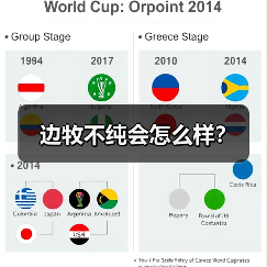 边牧不纯会怎么样？（图1）