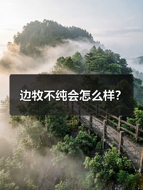 边牧不纯会怎么样？（图2）