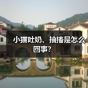 小猫吐奶、抽搐是怎么回事？