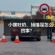 小猫吐奶、抽搐是怎么回事？（图3）