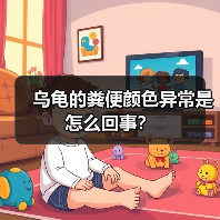 乌龟的粪便颜色异常是怎么回事？