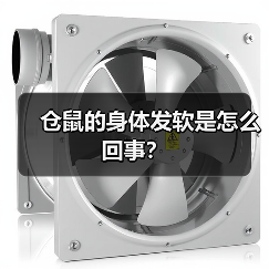 仓鼠的身体发软是怎么回事？（图1）