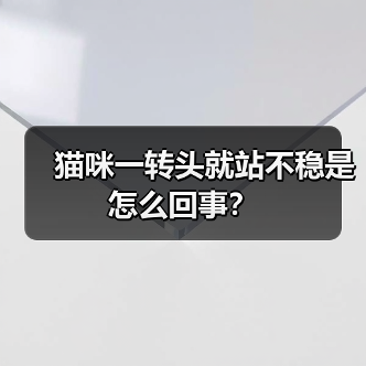 猫咪一转头就站不稳是怎么回事？（图4）