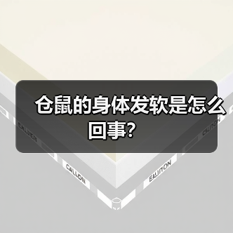 仓鼠的身体发软是怎么回事？