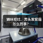 猫咪呕吐、舌头发紫是怎么回事？
