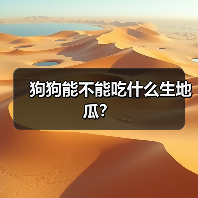 狗狗能不能吃什么生地瓜？（图3）