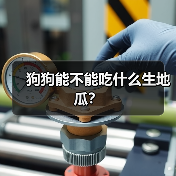 狗狗能不能吃什么生地瓜？（图4）