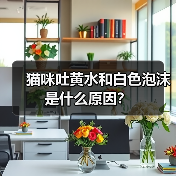猫咪吐黄水和白色泡沫是什么原因？