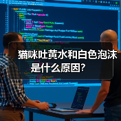猫咪吐黄水和白色泡沫是什么原因？（图2）
