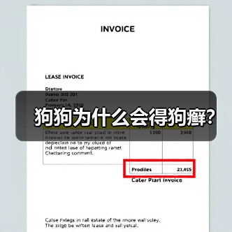 狗狗为什么会得狗癣？