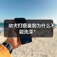 幼犬打疫苗前为什么不能洗澡？（图1）