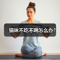 猫咪不吃不喝怎么办？（图4）