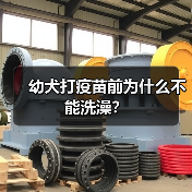 幼犬打疫苗前为什么不能洗澡？（图3）