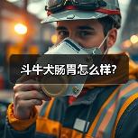斗牛犬肠胃怎么样？（图1）