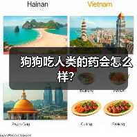 狗狗吃人类的药会怎么样？（图1）