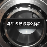 斗牛犬肠胃怎么样？（图4）