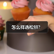 怎么样选松狮？（图3）