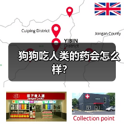 狗狗吃人类的药会怎么样？