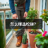 怎么样选松狮？（图4）