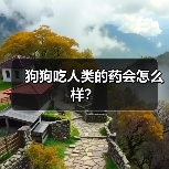 狗狗吃人类的药会怎么样？（图3）