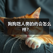 狗狗吃人类的药会怎么样？（图4）