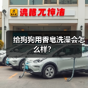 给狗狗用香皂洗澡会怎么样？（图4）