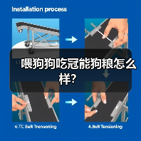 喂狗狗吃冠能狗粮怎么样？（图2）
